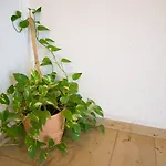 Hotell Art-hotel Braun