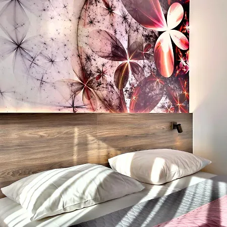 酒店 Art-hotel Braun