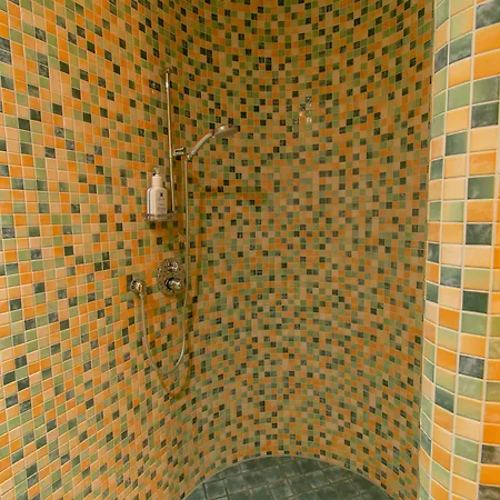 Art-hotel Braun 科黑姆波兰顿