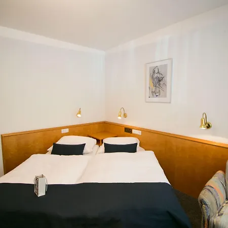 酒店 Art-hotel Braun