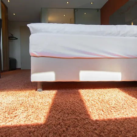 Art-hotel Braun 호텔 4*