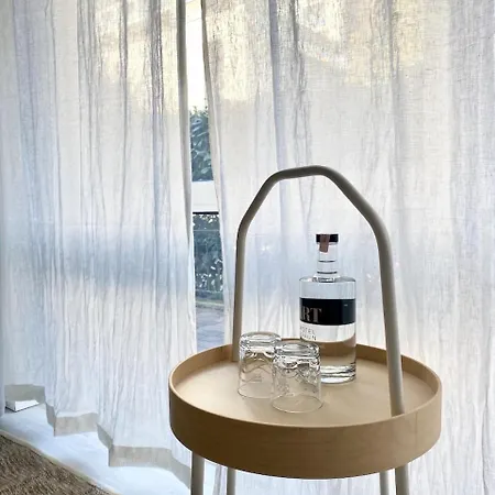 酒店 Art-hotel Braun 4*