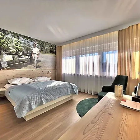 Art-hotel Braun