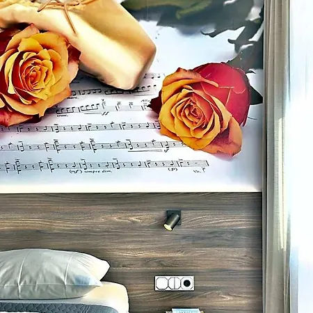 Art-hotel Braun