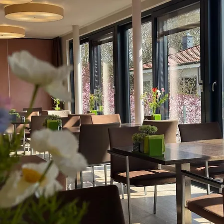 酒店 Art-hotel Braun