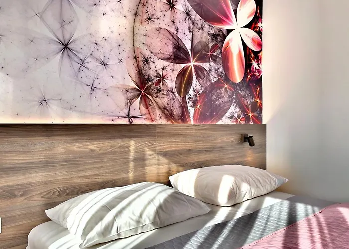 酒店 Art-hotel Braun