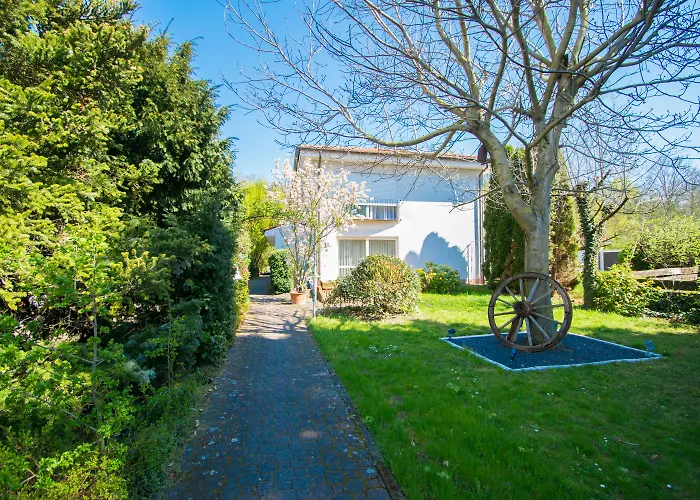 酒店 Art-hotel Braun